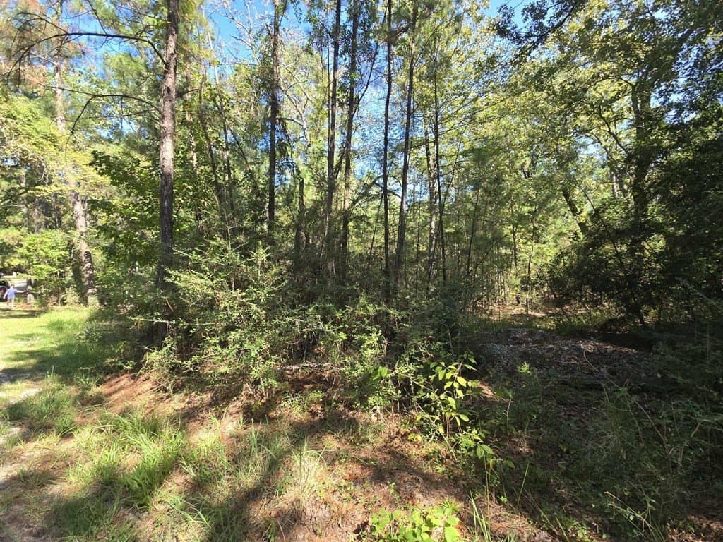 0.45 acres in Texas County featured view