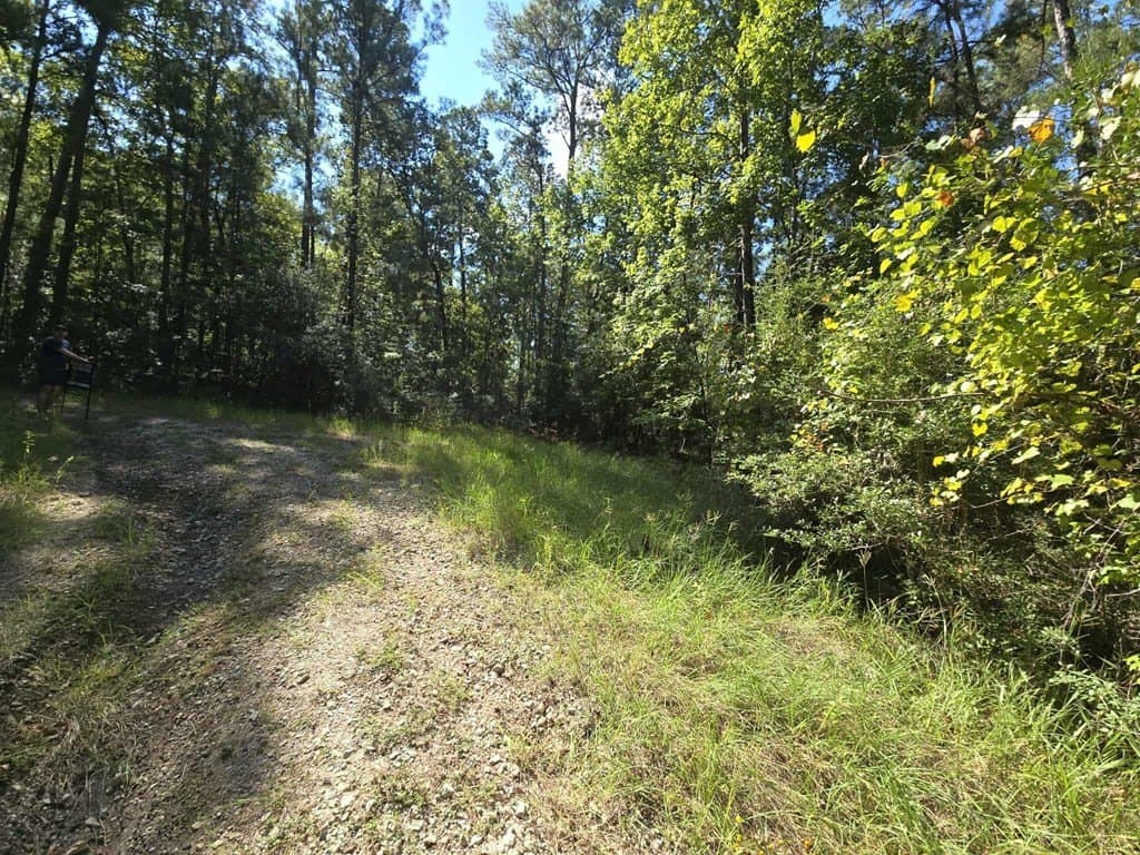 0.45 acres in Texas County gallery image 4