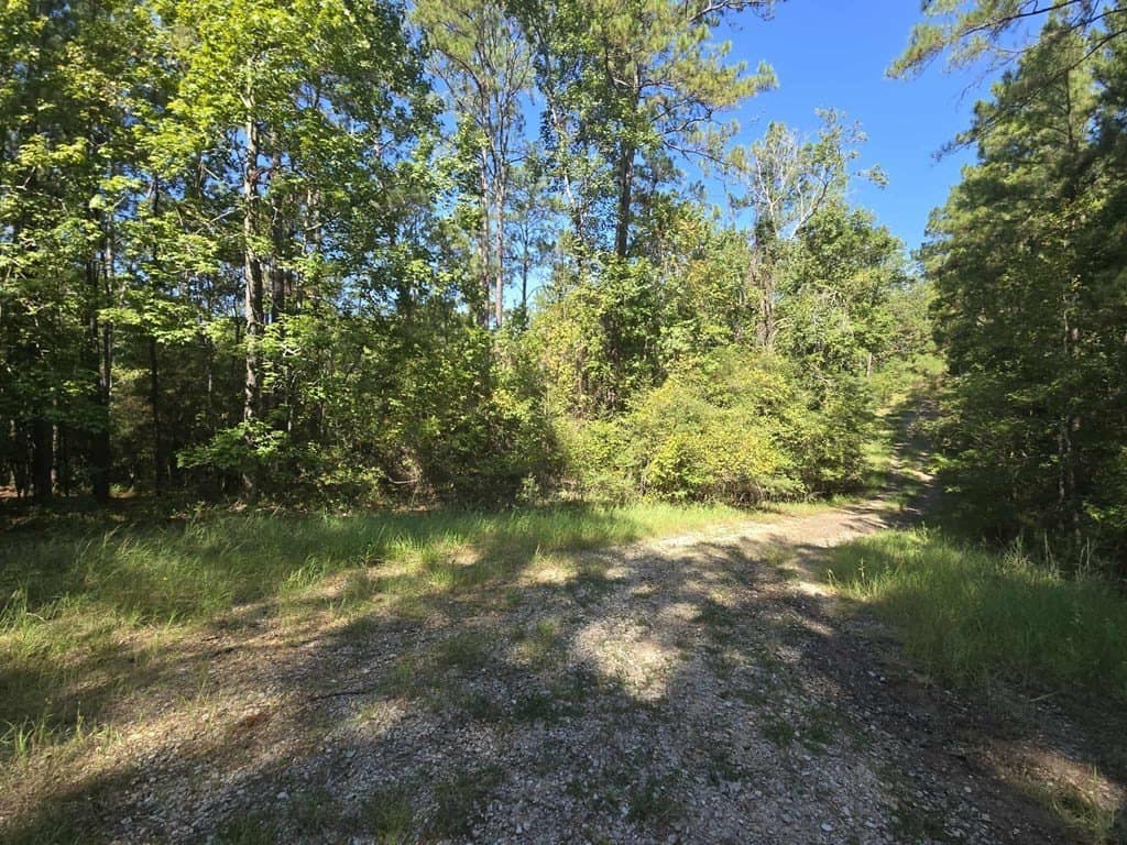 0.45 acres in Texas County gallery image 3