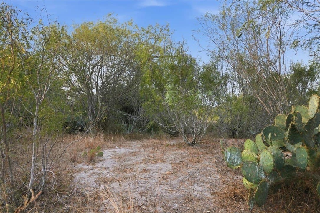 10 acres in Bee County - photo 17