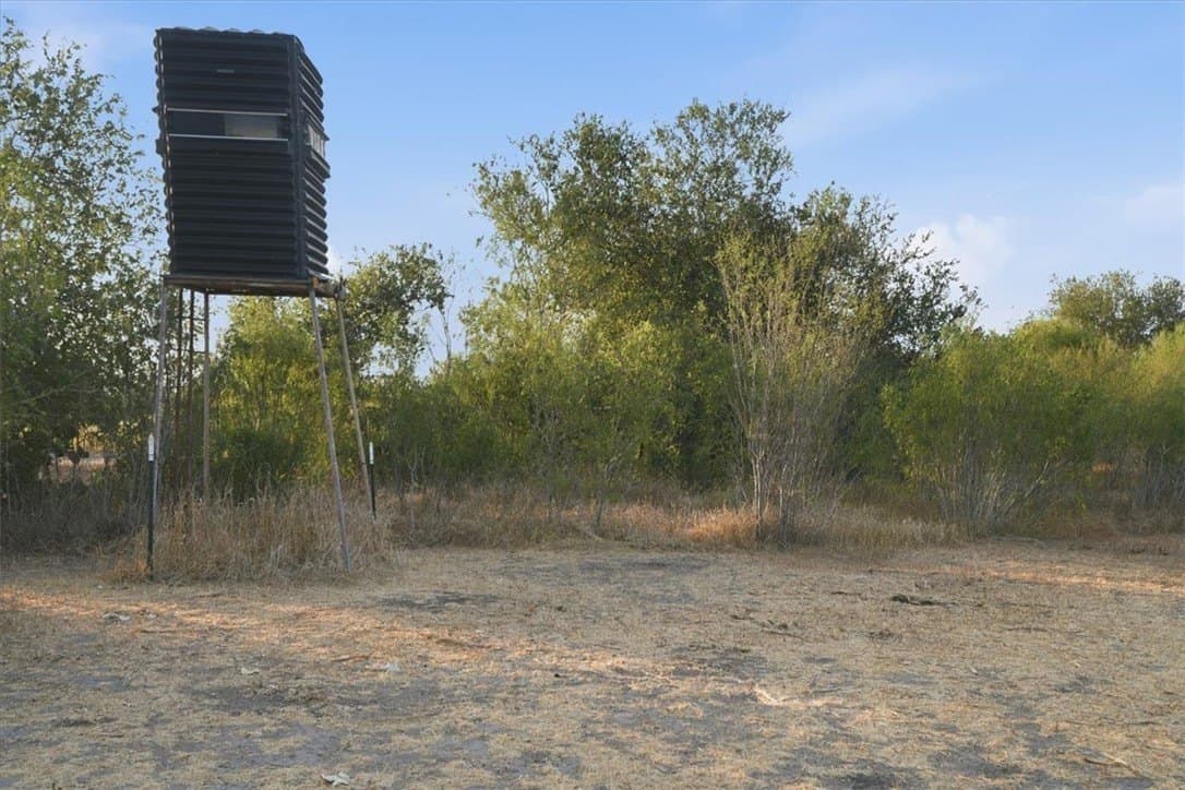 10 acres in Bee County - photo 5