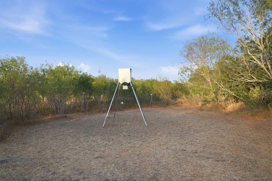 10 acres in Bee County - photo 8