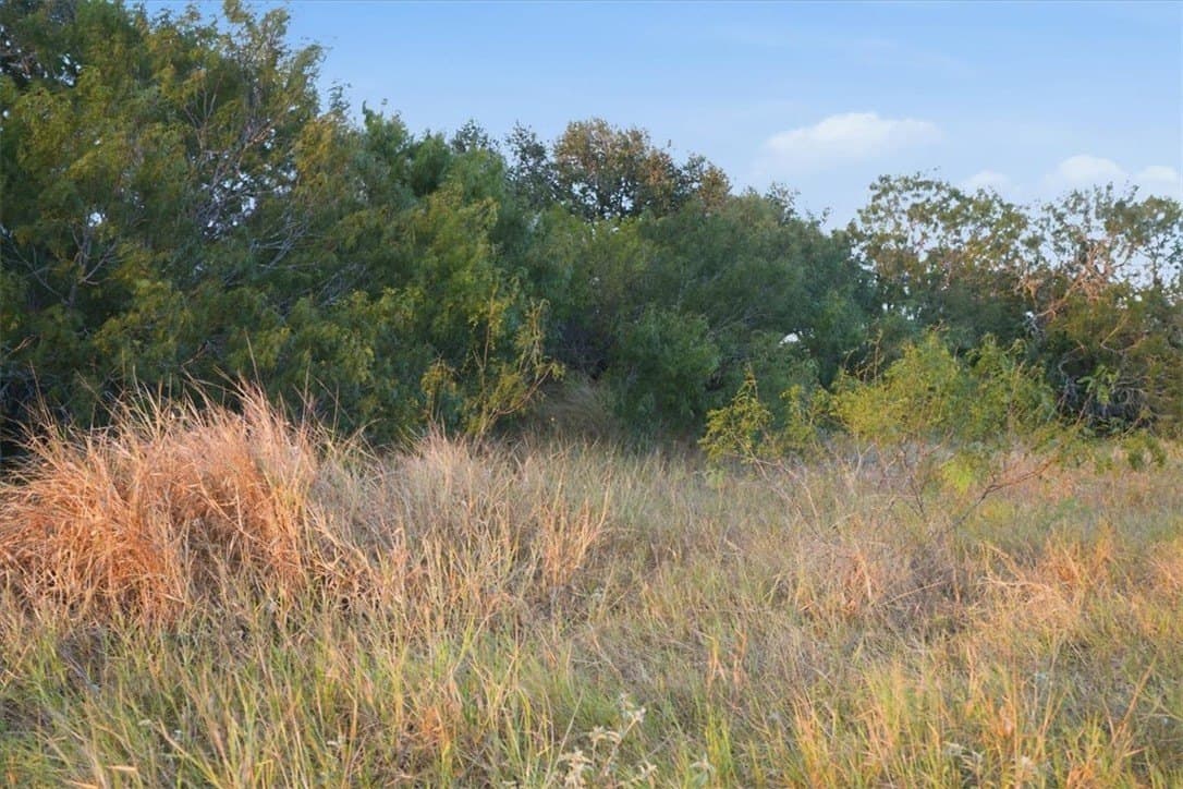 10 acres in Bee County - photo 4
