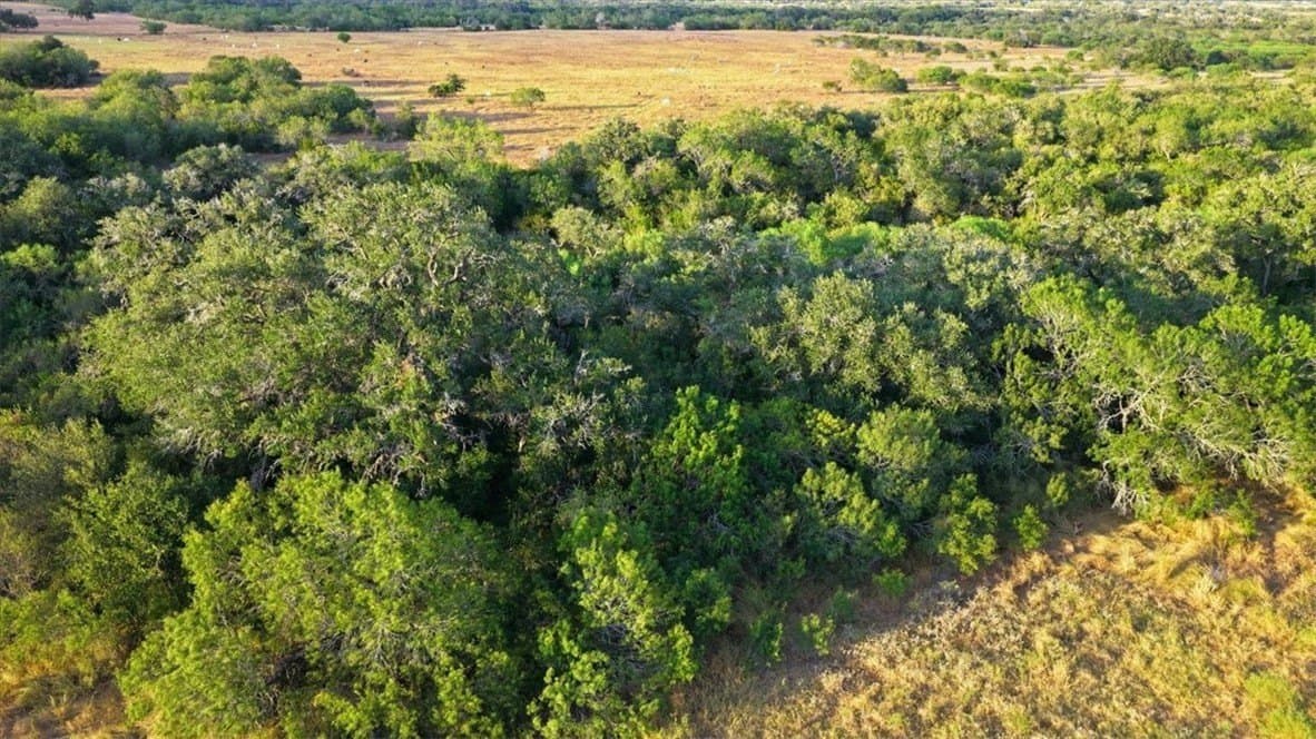 10 acres in Bee County - photo 30