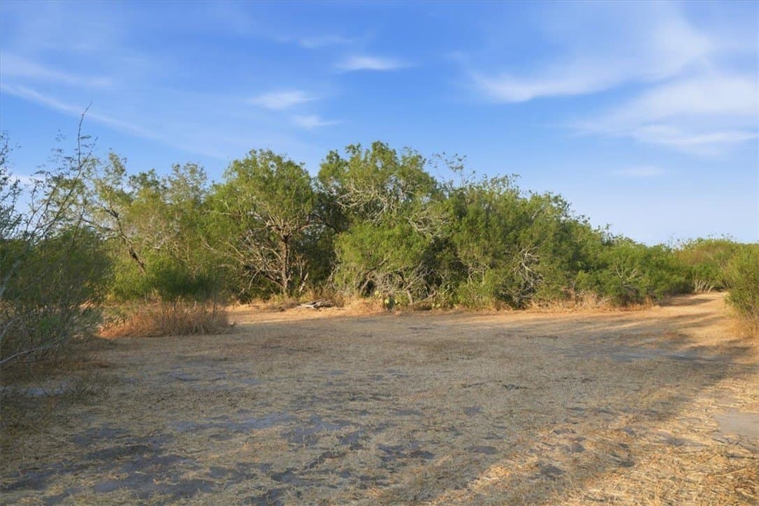 10 acres in Bee County - photo 20