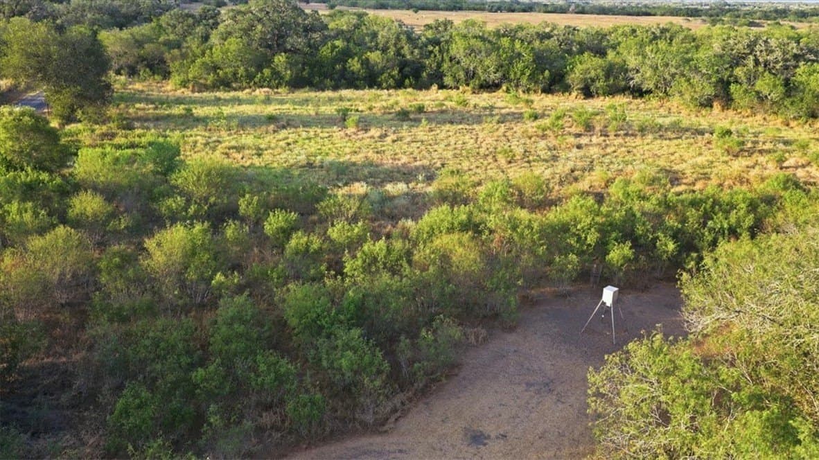 10 acres in Bee County - photo 29