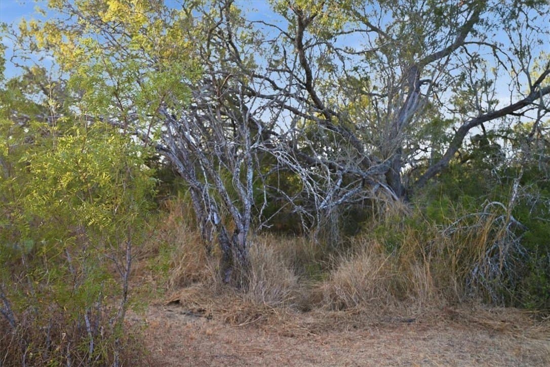 10 acres in Bee County - photo 16