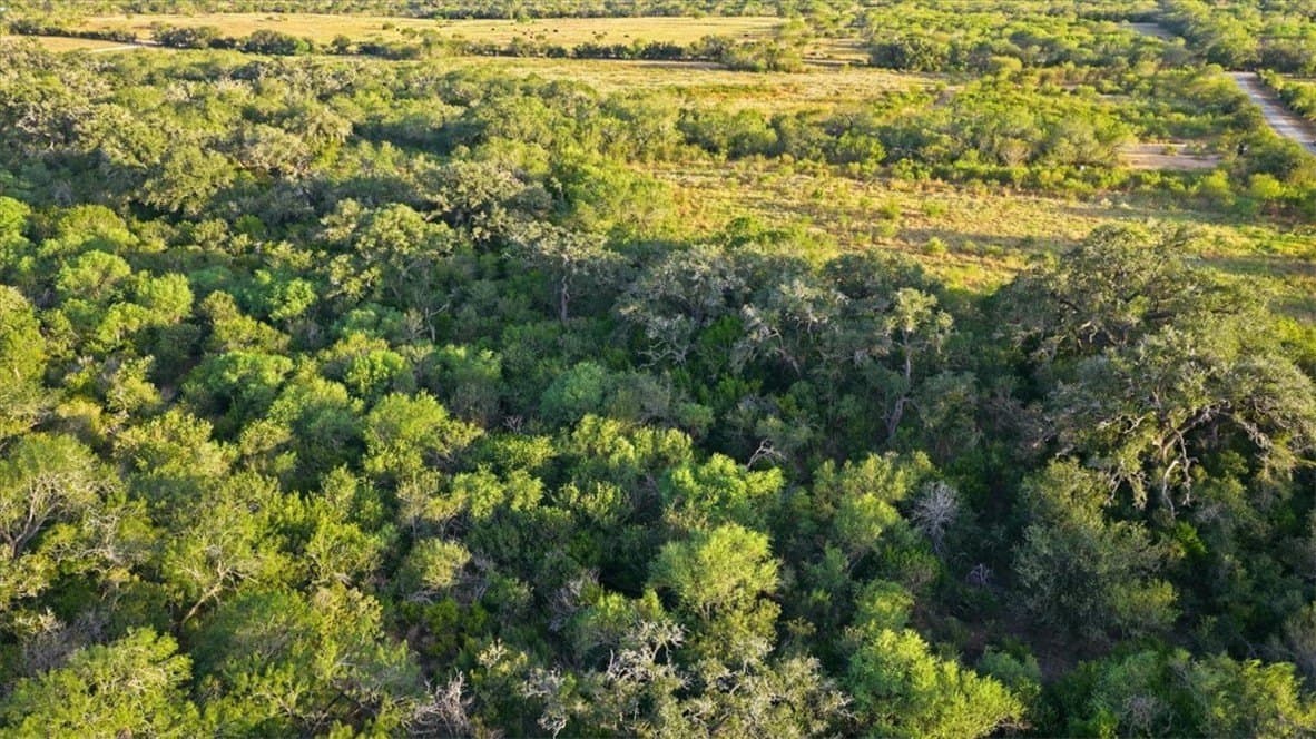10 acres in Bee County - photo 31