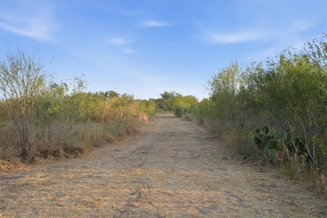 10 acres in Bee County - photo 10