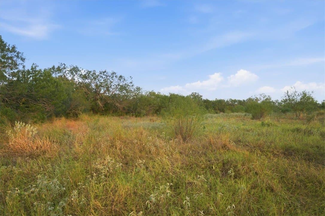 10 acres in Bee County - photo 3