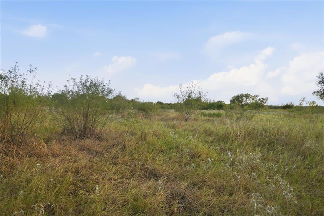 10 acres in Bee County - photo 27