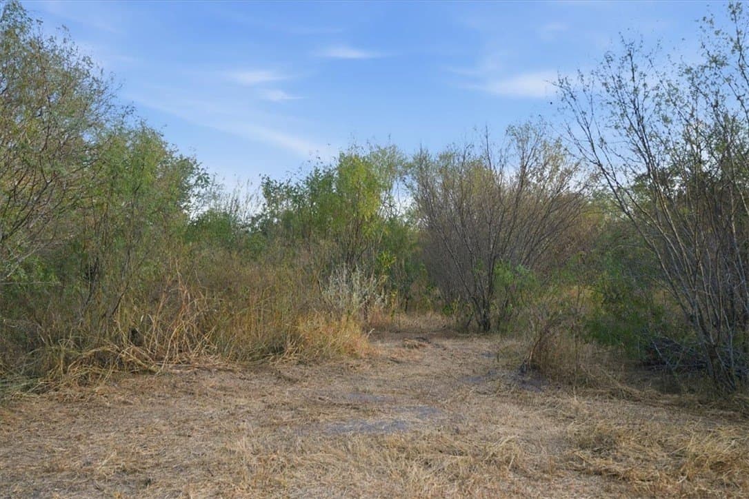 10 acres in Bee County - photo 23
