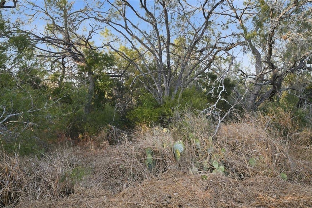 10 acres in Bee County - photo 15