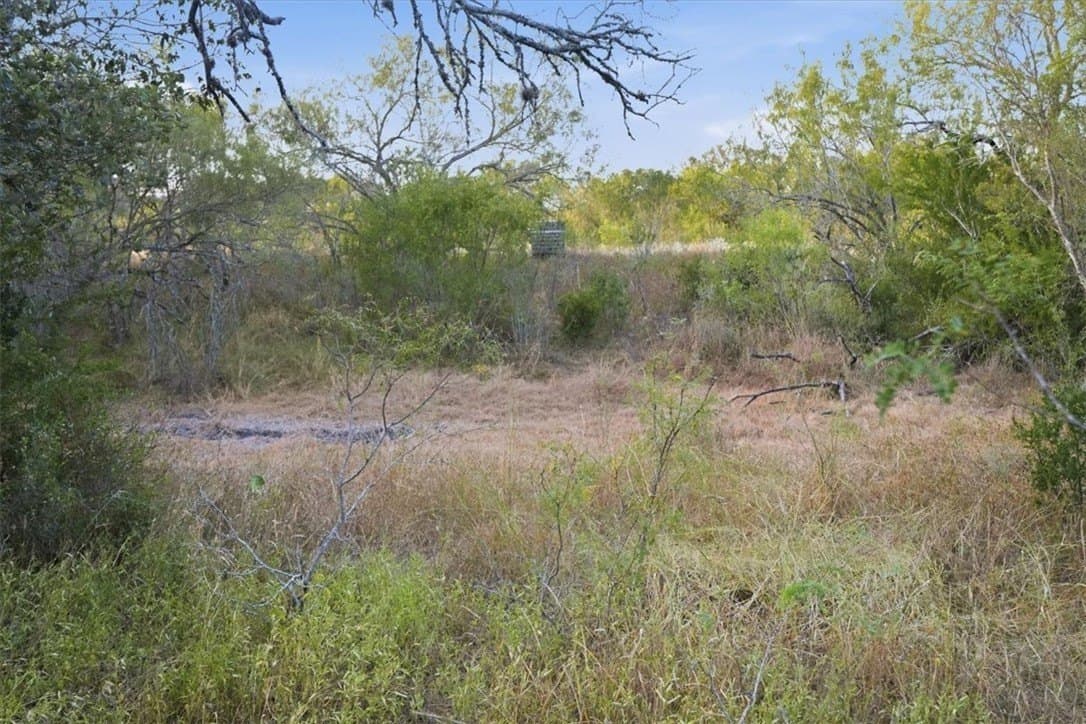 10 acres in Bee County - photo 18