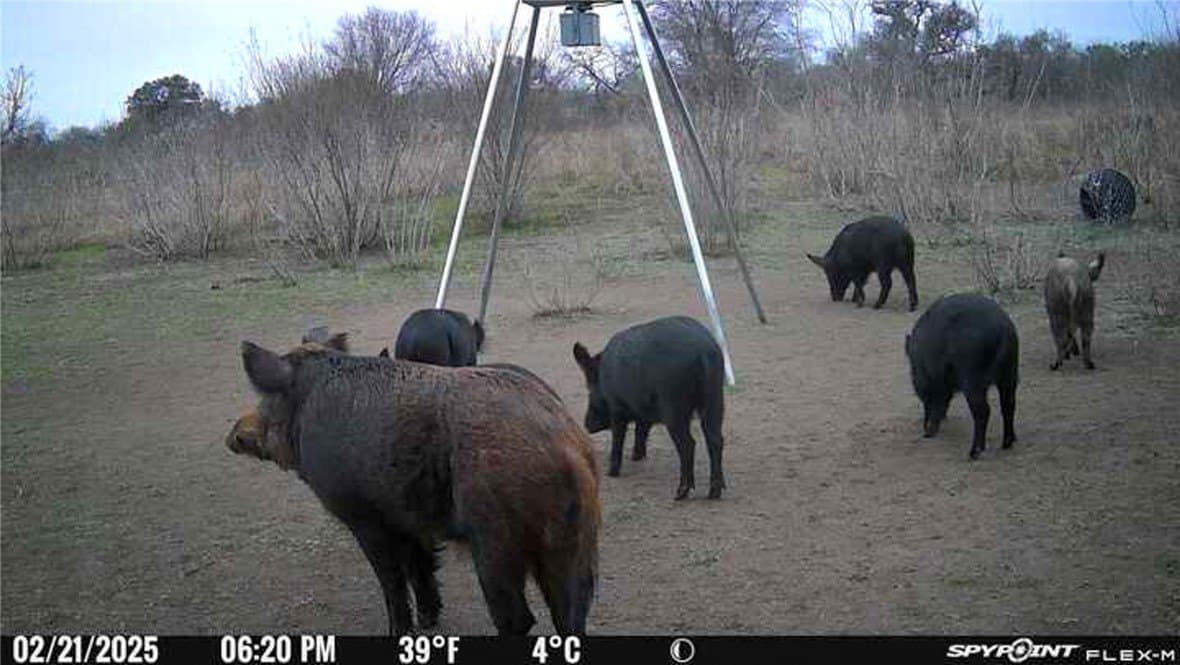 10 acres in Bee County - photo 9