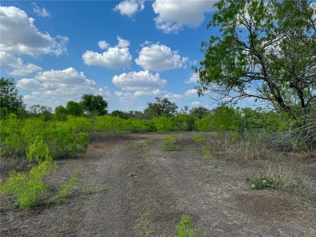 10 acres in Bee County featured view