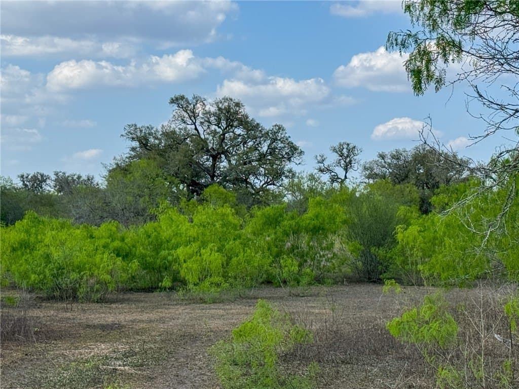 10 acres in Bee County gallery image 3