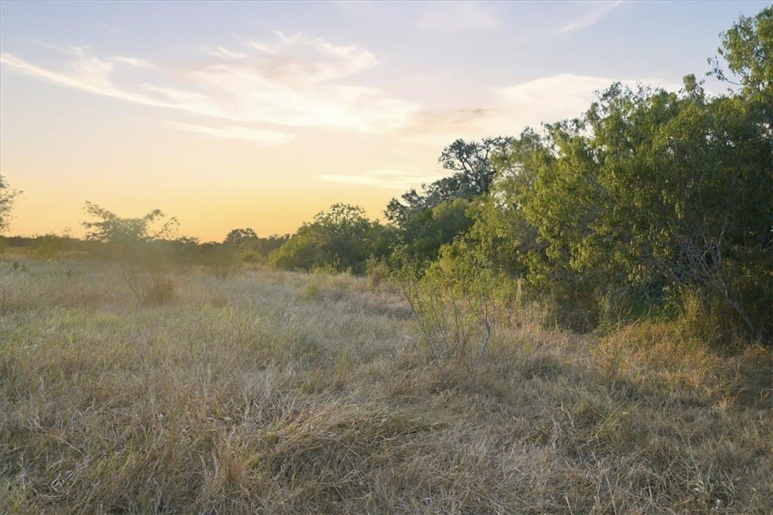 10 acres in Bee County - photo 26
