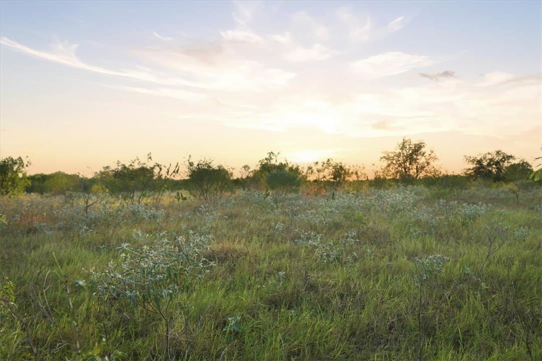 10 acres in Bee County - photo 25