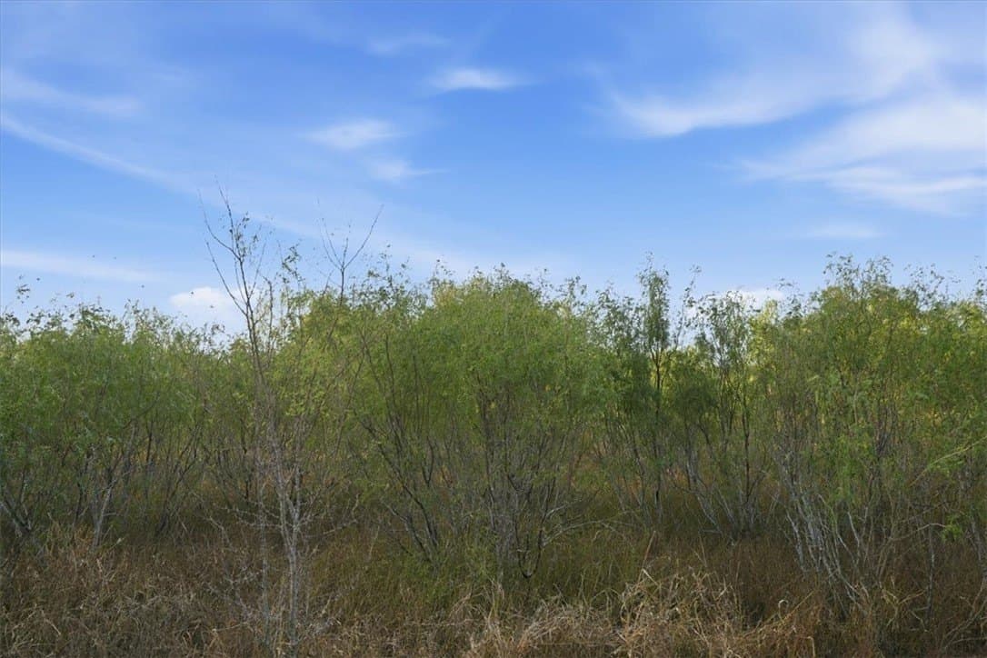 10 acres in Bee County - photo 13
