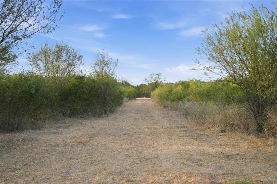 10 acres in Bee County - photo 24