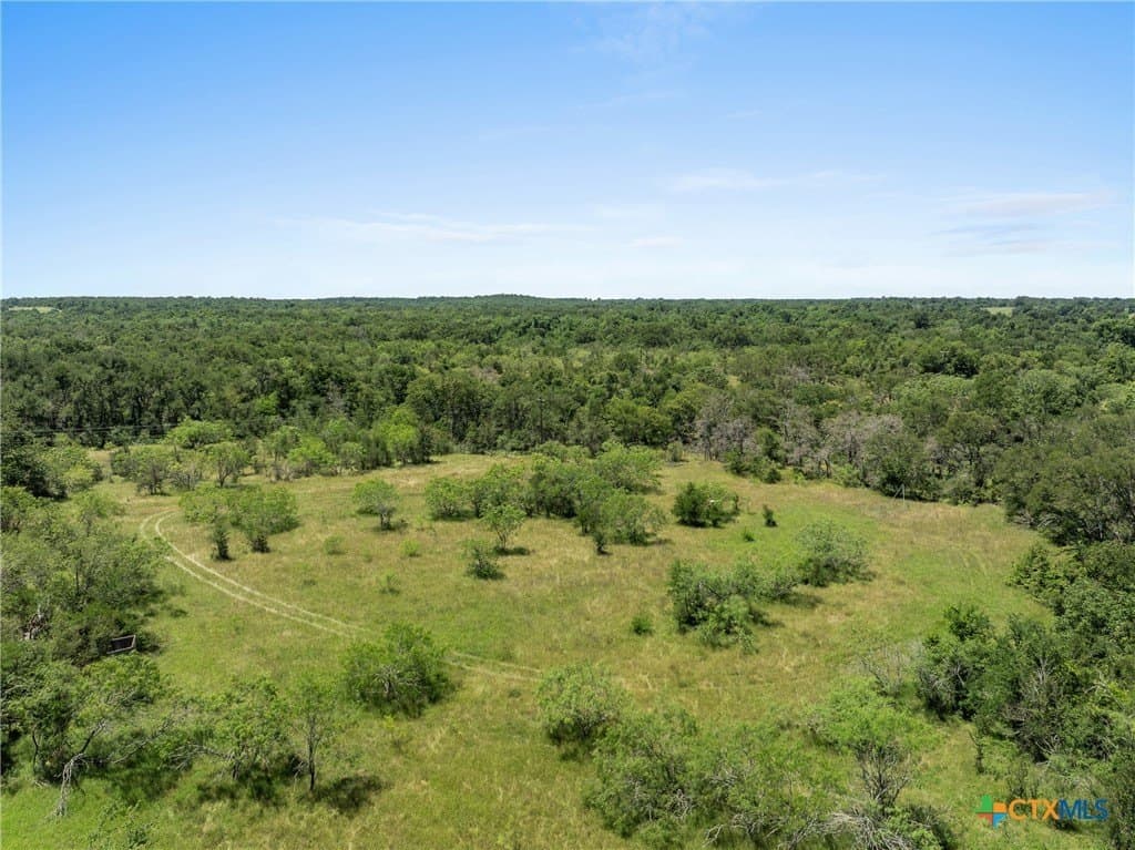 81 acres in Milam County - photo 10
