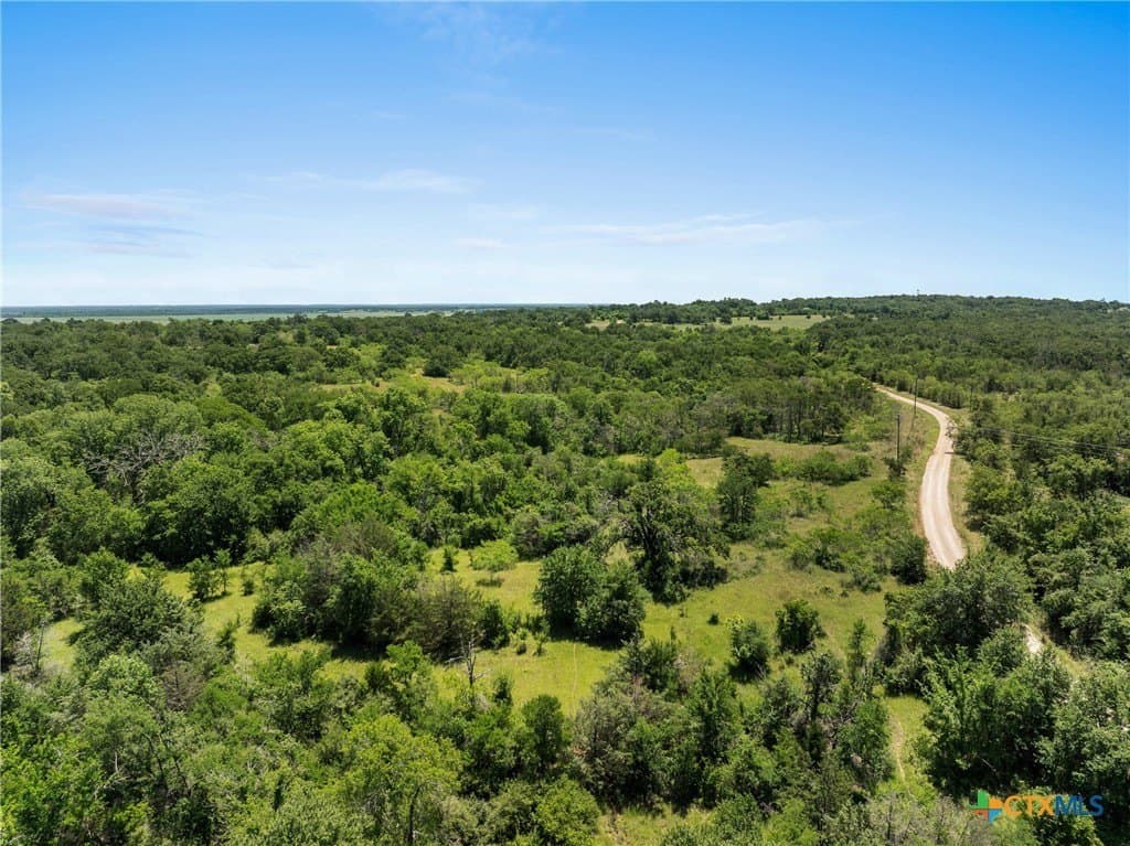 81 acres in Milam County - photo 9