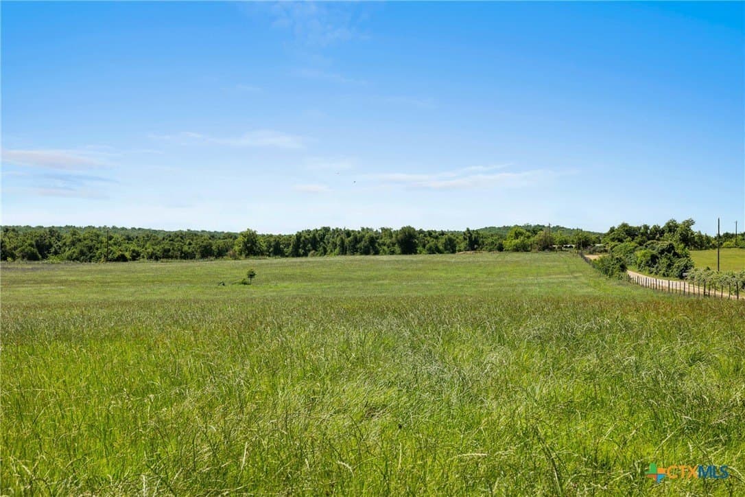 81 acres in Milam County - photo 5