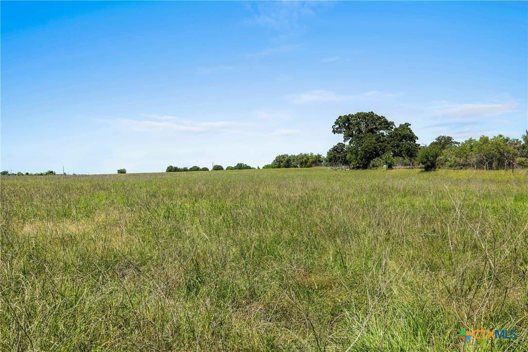 81 acres in Milam County - photo 17
