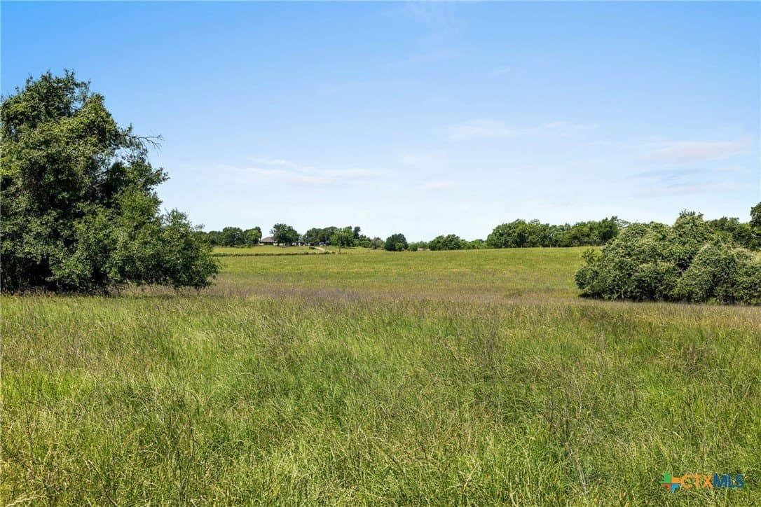 81 acres in Milam County - photo 16