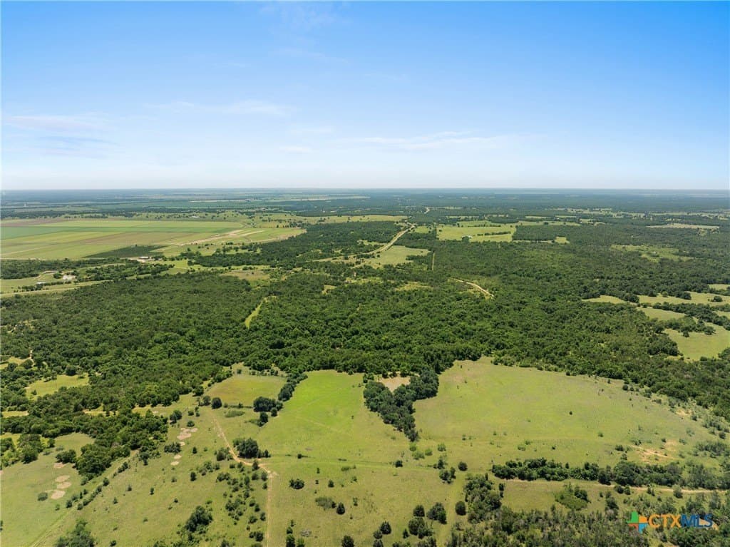 81 acres in Milam County - photo 7