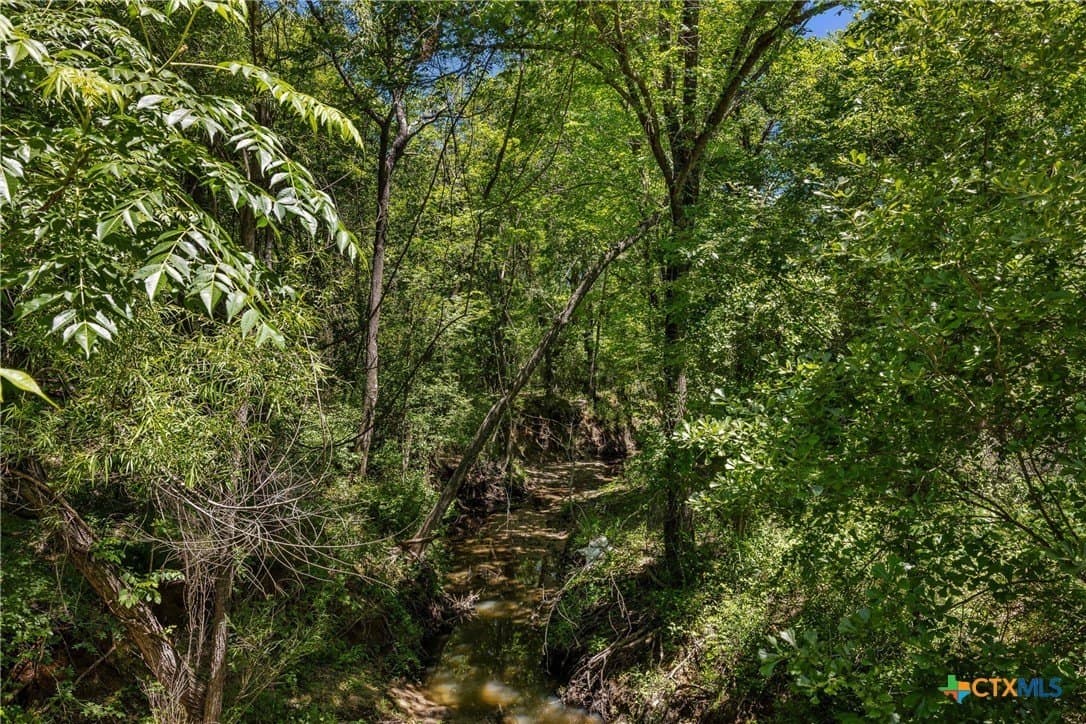 81 acres in Milam County - photo 14