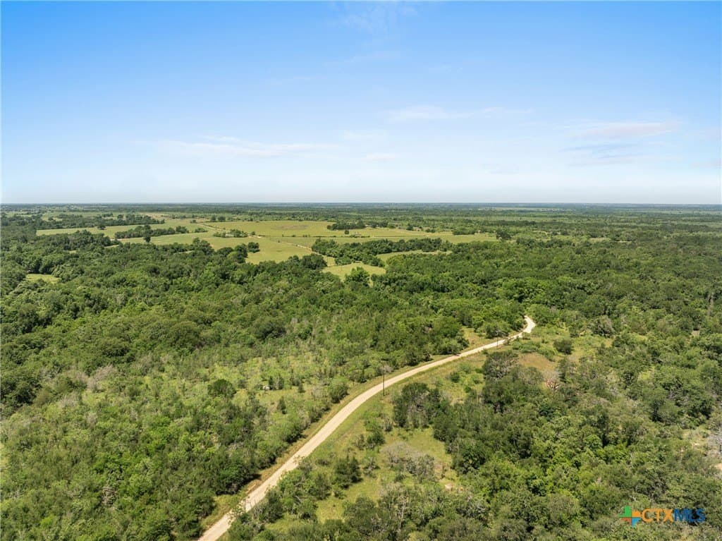 81 acres in Milam County - photo 11