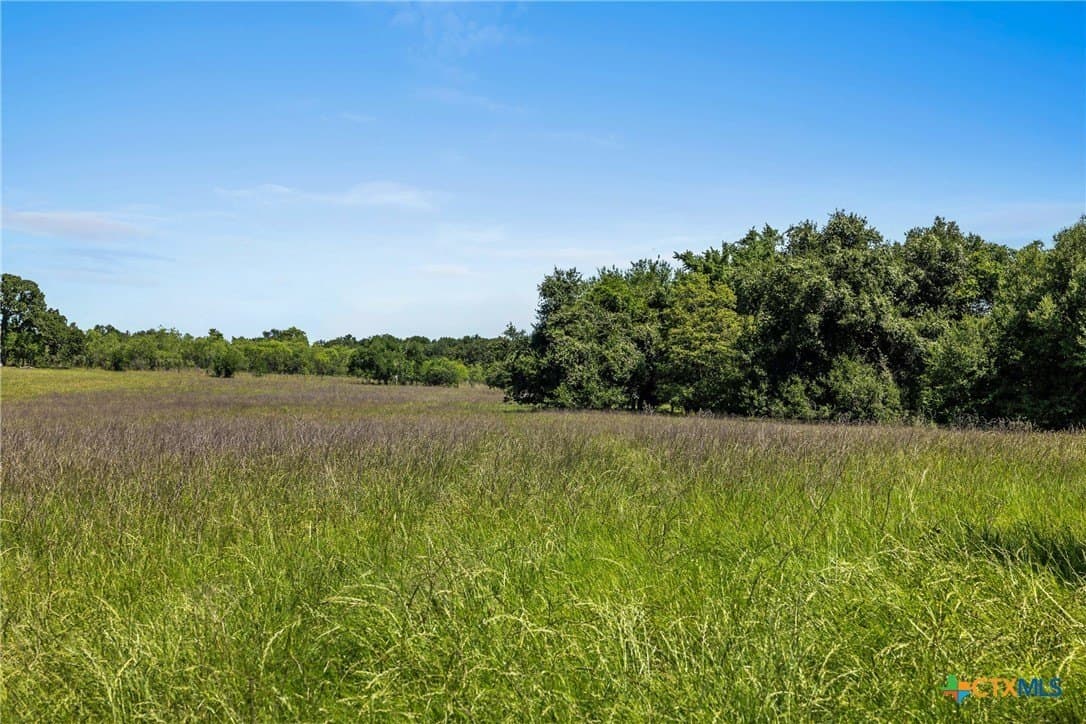 81 acres in Milam County - photo 3