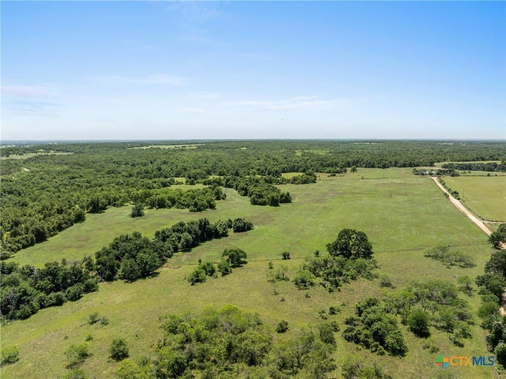 81 acres in Milam County - photo 8