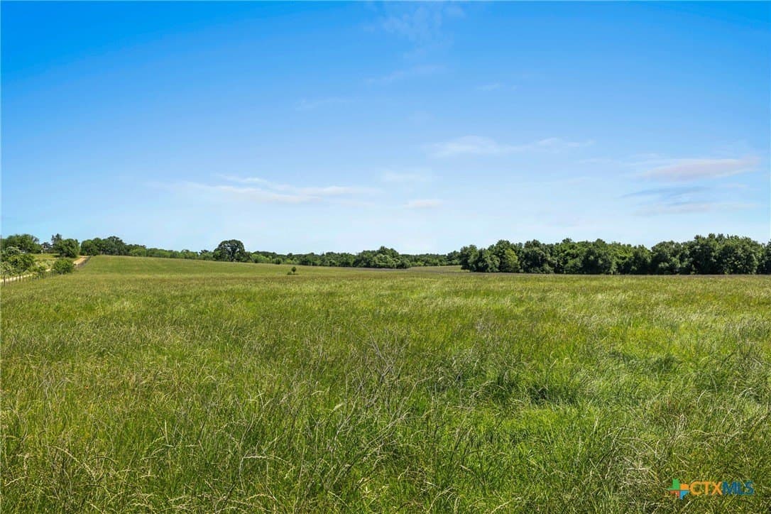 81 acres in Milam County