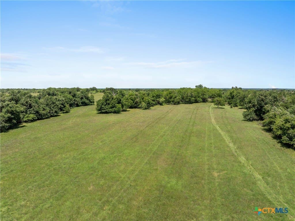 81 acres in Milam County - photo 12