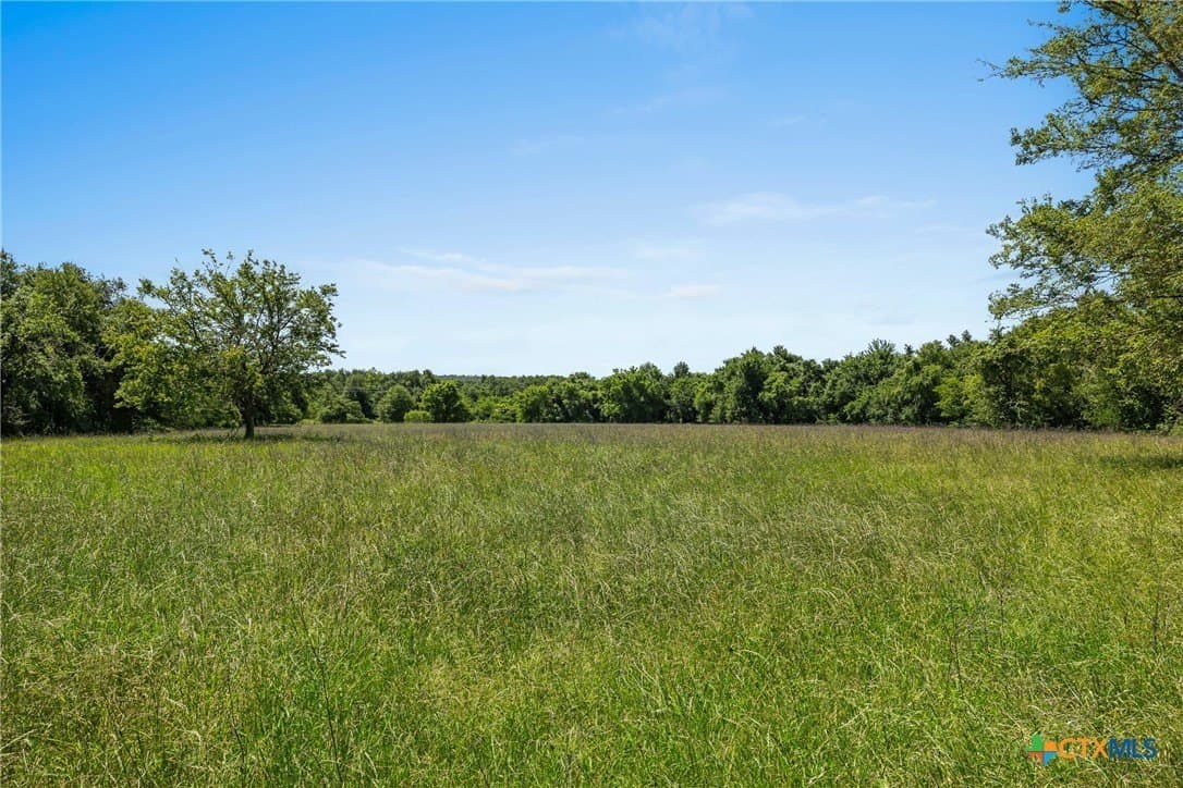 81 acres in Milam County - photo 15