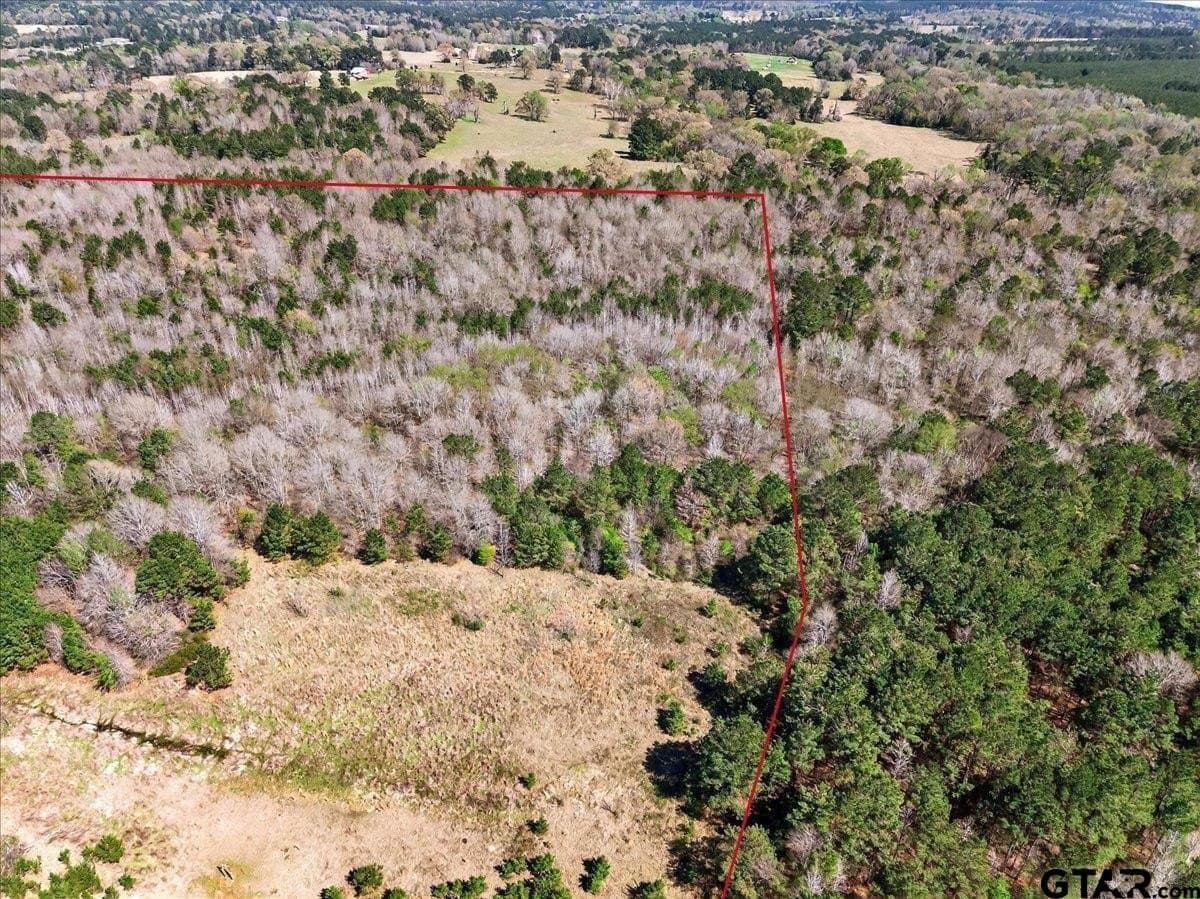 51.91 acres in Cherokee County - photo 7