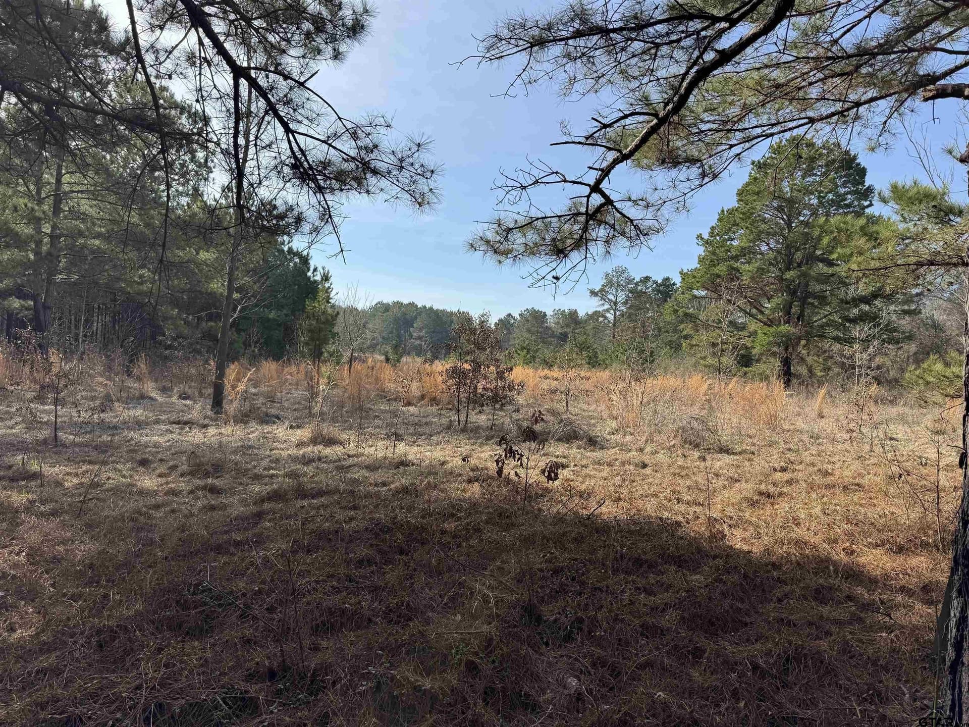 51.91 acres in Cherokee County - photo 23