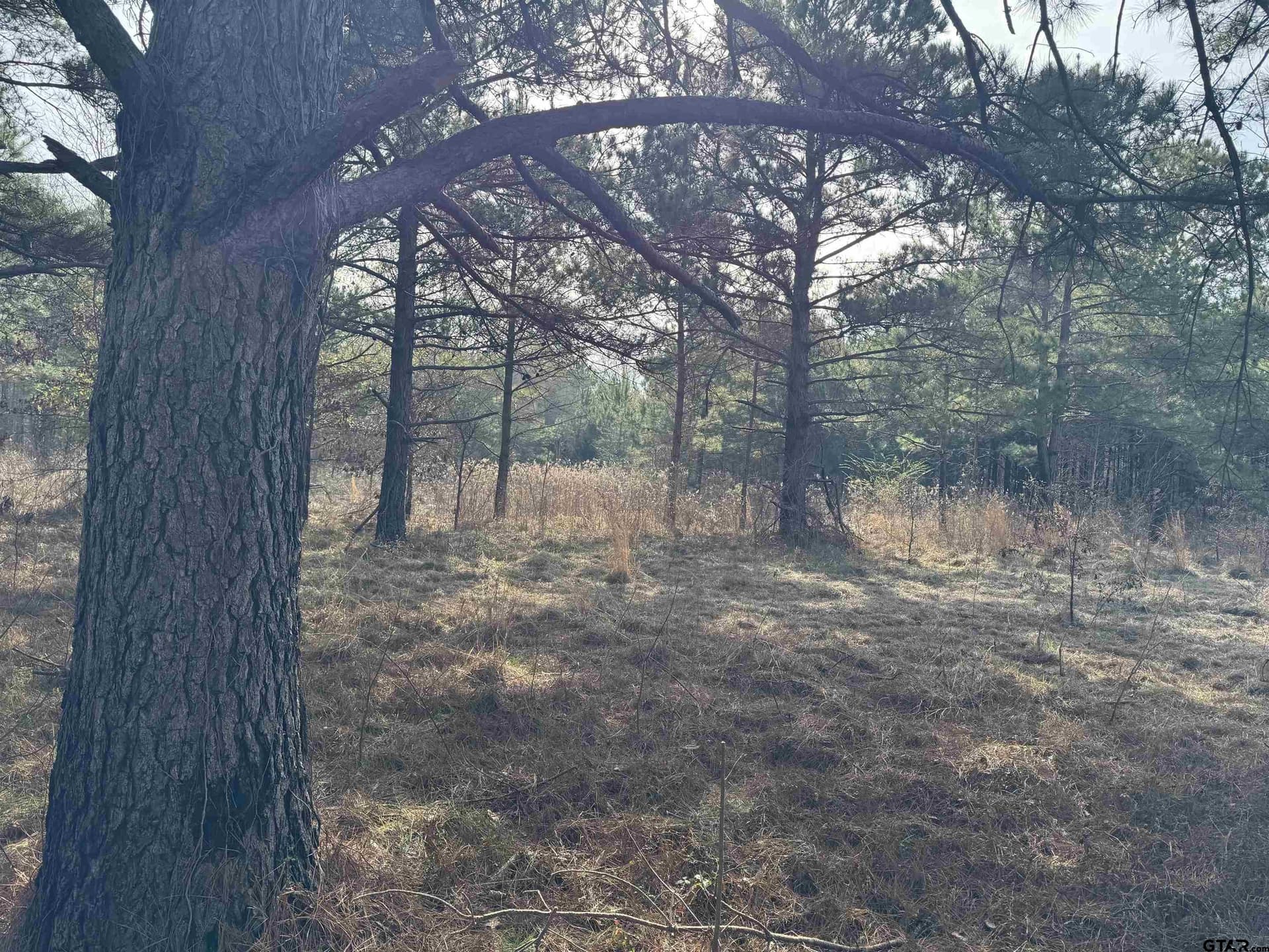 51.91 acres in Cherokee County - photo 26