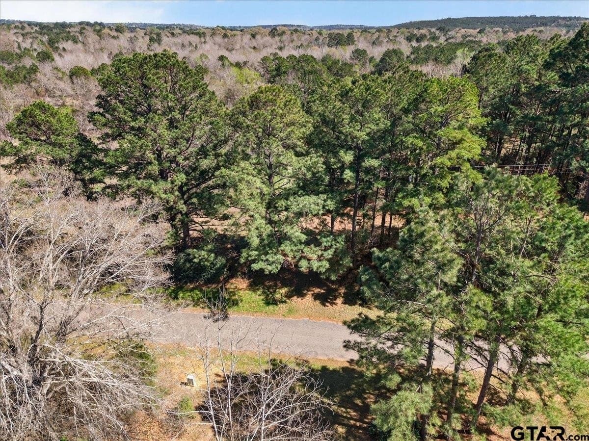 51.91 acres in Cherokee County - photo 17