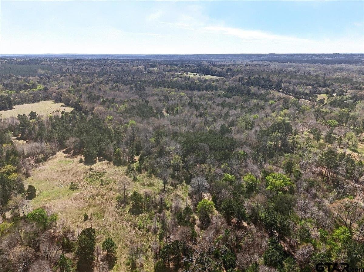 51.91 acres in Cherokee County - photo 19