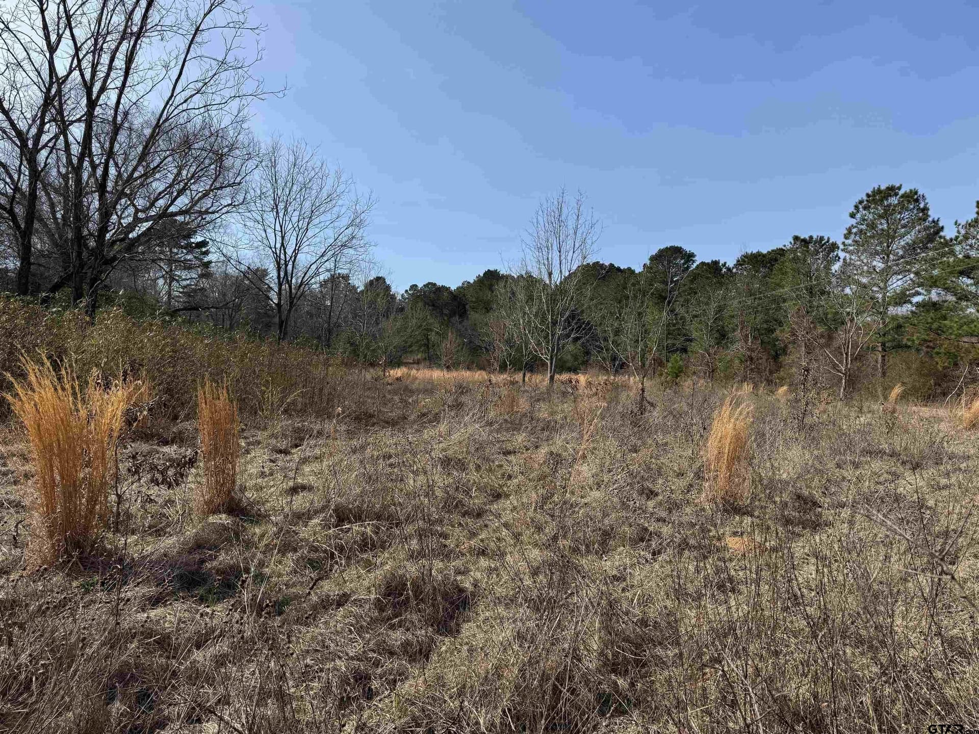 51.91 acres in Cherokee County - photo 28