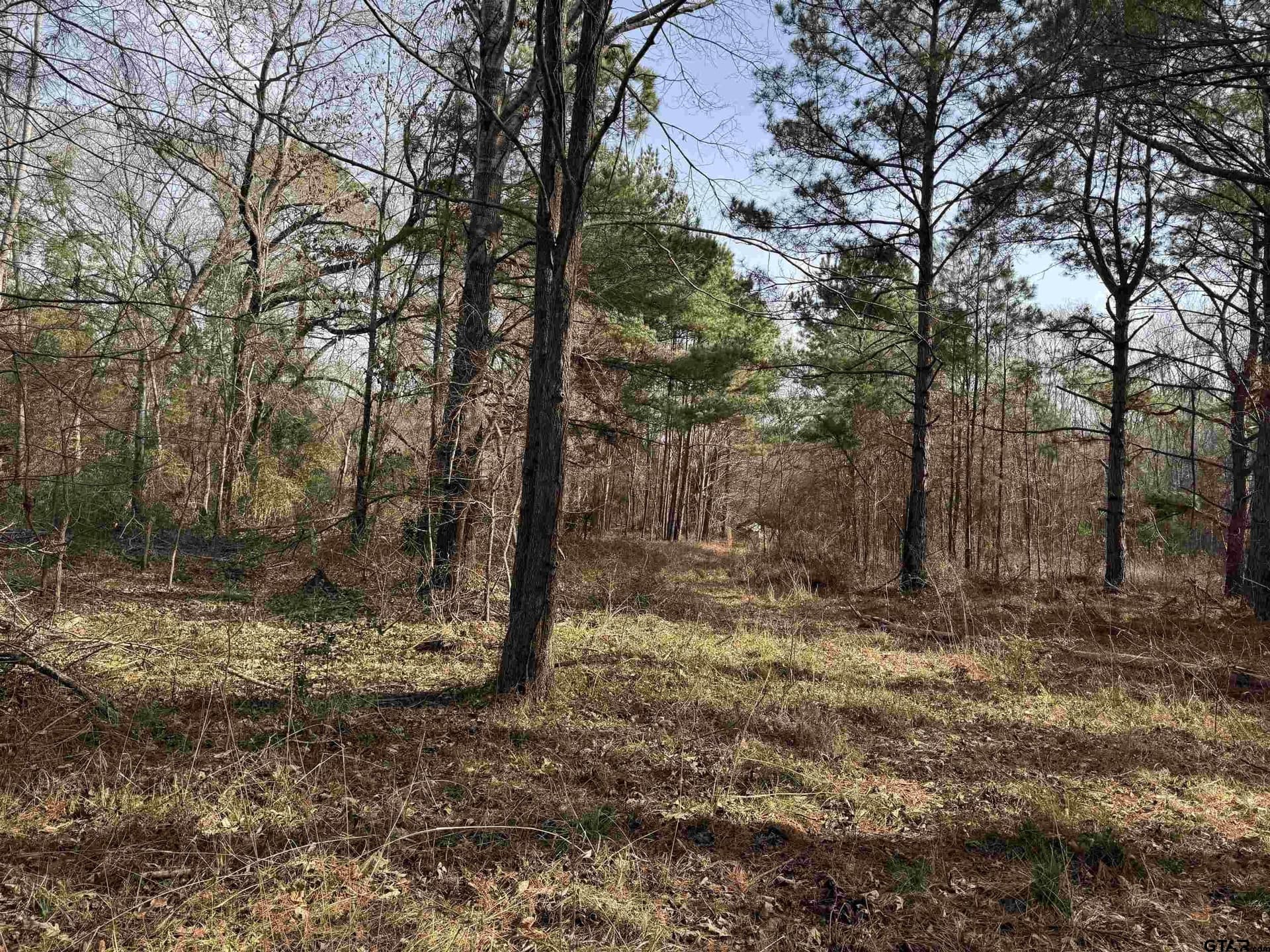 51.91 acres in Cherokee County - photo 25