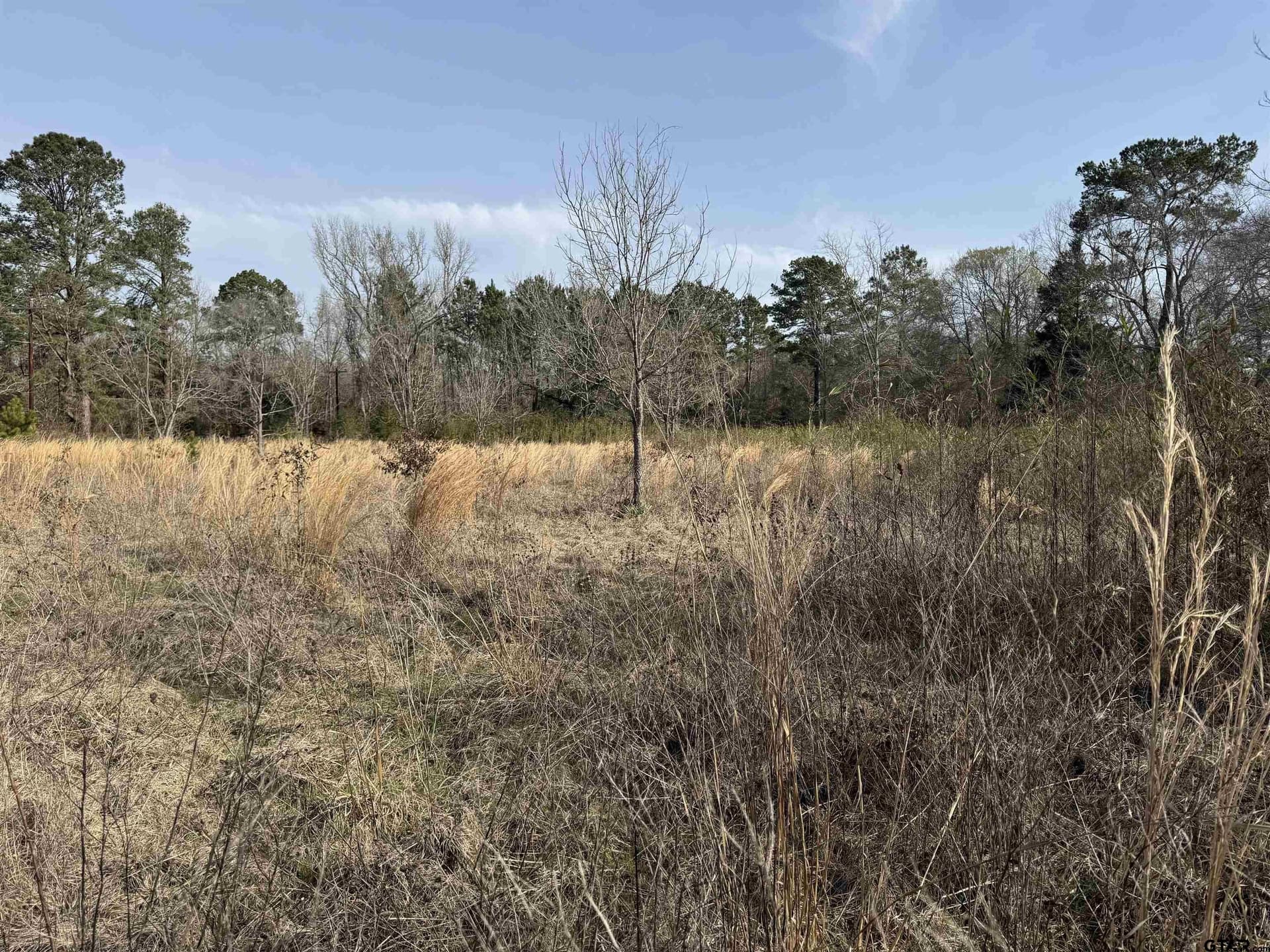 51.91 acres in Cherokee County - photo 27