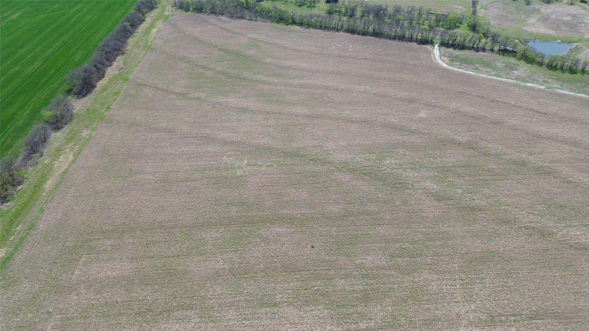 10 acres in Denton County - photo 14