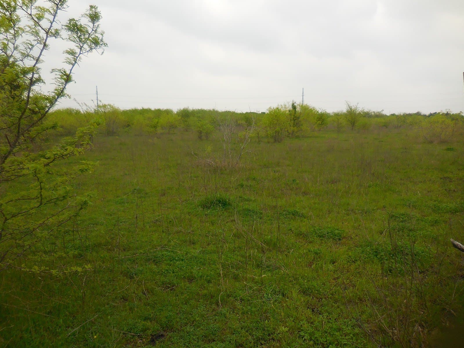 38.76 acres in Hunt County - photo 2