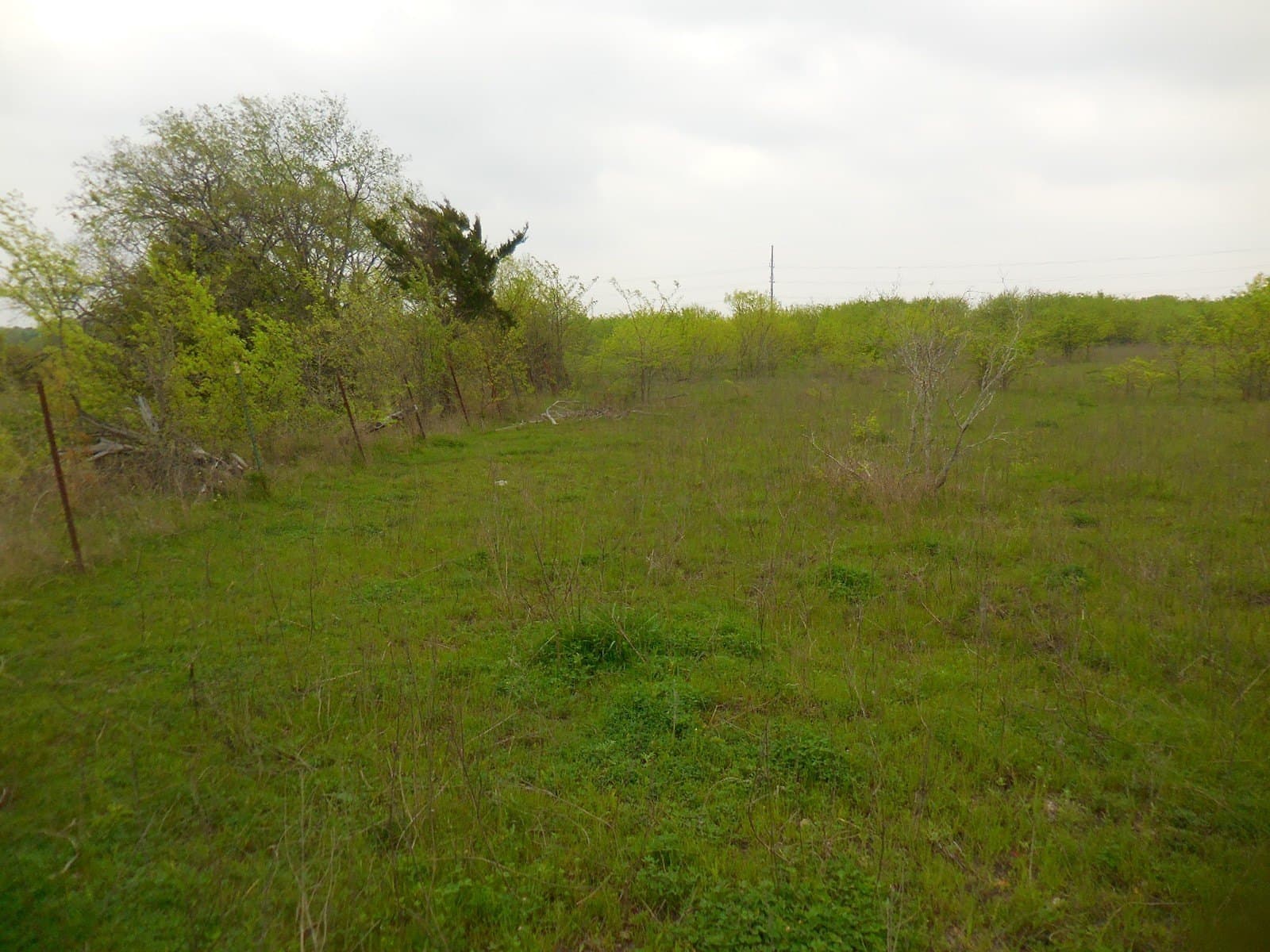 38.76 acres in Hunt County - photo 4