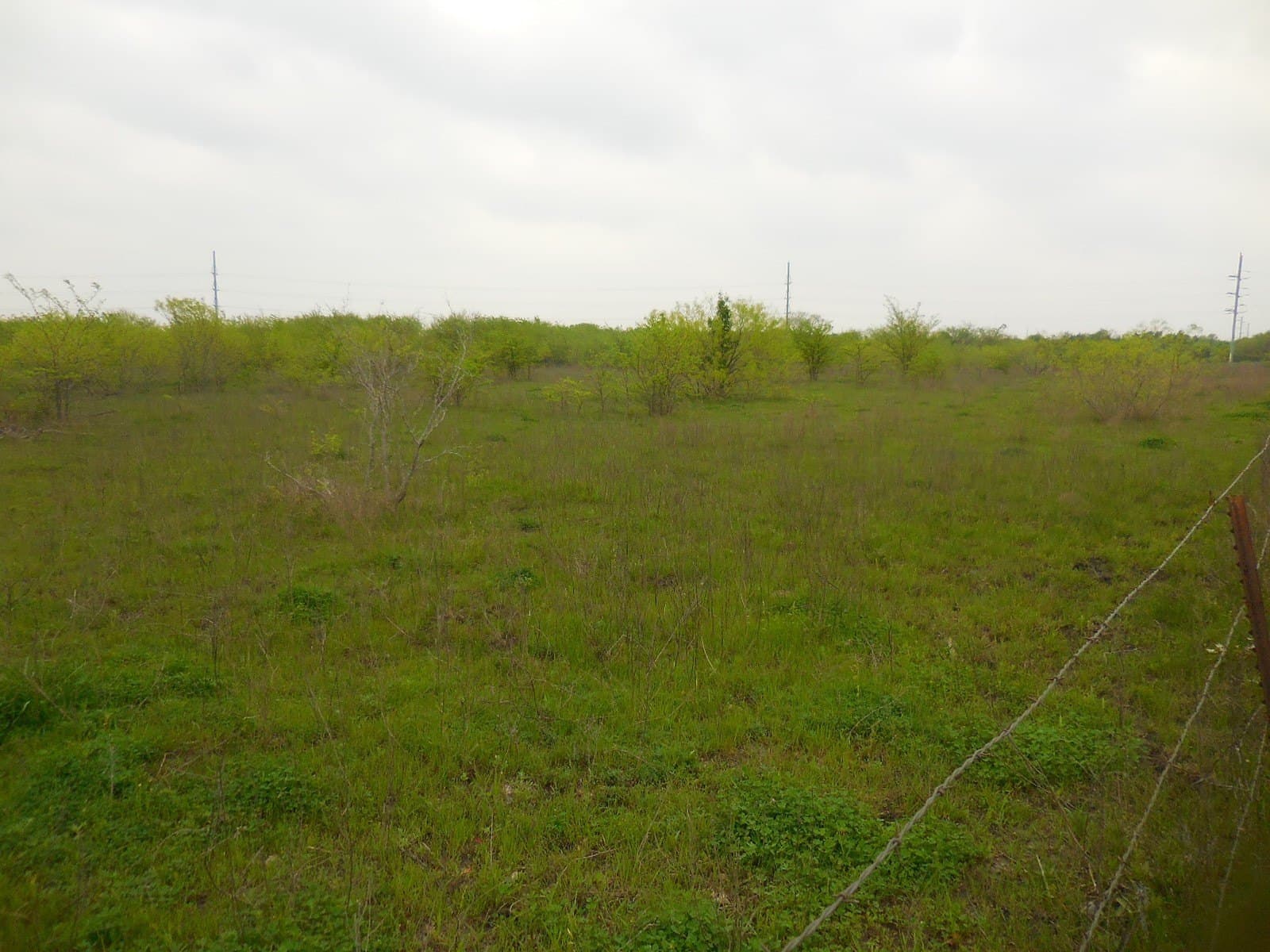 38.76 acres in Hunt County - photo 3